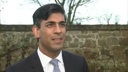 Rishi Sunak Interview about Brexit Trade Deal News Clip