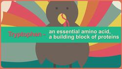 Turkey Doesn't Make You Sleepy: Healthcare Triage #5 Instructional Video