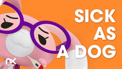 Sick as a Dog Instructional Video