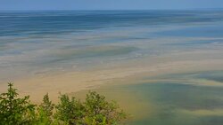 Toxic algae bloom in the Baltic sea during an extreme warm summer Stock Footage
