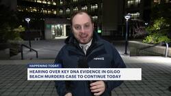 DNA evidence hearing resumes today in Gilgo Beach Serial Killer case News Clip