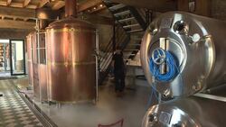 CLEAN : From gin to gel: Belgian distillery battles virus News Clip