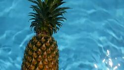 Pineapple Floating In blue Water In Swimming Pool. Healthy Raw Organic Food. Juicy Fruit. Vegetarian, Vegan Nutrition, Vitamins, Diet, summer holidays, vacation concepts. Exotic tropical background Stock Footage