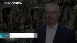 Dinosaurs come to life with 3D glasses News Clip