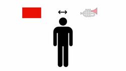 Synesthesia: Perceiving the World Differently Instructional Video