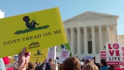 Florida becomes latest US state to restrict abortion access News Clip