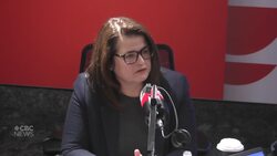 Sask. Opposition leader wants province to create 'Team Saskatchewan Taskforce' in response to tariff threat News Clip