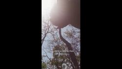 Children Of The Wild | Get.factual Instructional Video