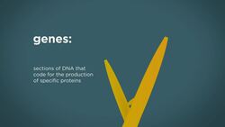 What Are Genes? Instructional Video