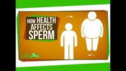 How Health Affects Sperm Instructional Video