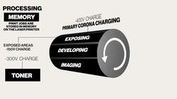 CompTIA A+ Certification 220-1001: The Total Course - Laser Printers Instructional Video