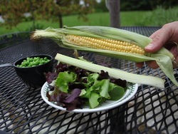 Nuestra preciosa Tierra: recapitulando Instructional Video