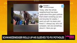 Arnold Schwarzenegger Fills Potholes Himself in LA Neighborhood News Clip