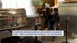Maple Sugar Fest Sundays kicks off at the Stamford Museum and Nature Center News Clip