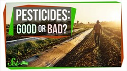 How Safe Are Pesticides, Really? Instructional Video