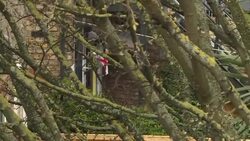 Police searching after discovery of body of missing Laureline Garcia-Bertaux News Clip