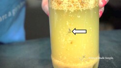 Extracting Iron from Breakfast Cereal Instructional Video