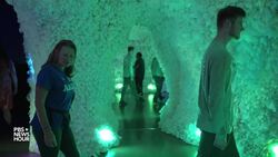 Immersive exhibitions are changing the way people consume art News Clip