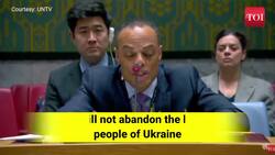 ‘We stand with Ukraine’: UK, United States condemn latest Russian aerial strike at UN meeting News Clip