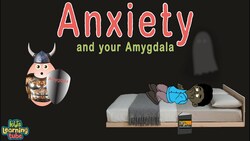 Anxiety Instructional Video