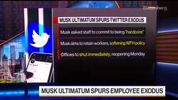 Twitter Sees Mass Employee Exodus After Musk's Ultimatum News Clip