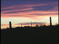 Weather in Action: Air in Action Instructional Video