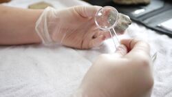 Life on Earth and Beyond Instructional Video