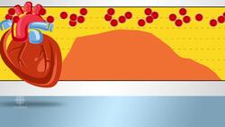 Saturated fat is not the big problem News Clip