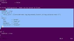 Getting Started with HashiCorp Nomad - Demo - Job Constraints Instructional Video