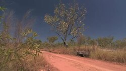 SUV driving down a dirt road Stock Footage