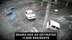 The Fukushima Disaster: Japan's Nuclear Crisis Instructional Video