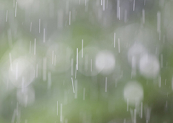 Types of Weather: Rain Instructional Video