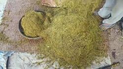 farmer checking plenty of tobacco after shredding ( close up ) Stock Footage