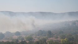 Heatwave, high winds cause wildfires in Greece Instructional Video