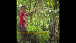 Ecuador’s indigenous patrol battle mining projects in Amazon Basin News Clip