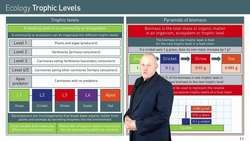 Trophic Levels and Biomass in Ecology Instructional Video