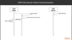 Describe network protocols : UDP Echo Server Instructional Video
