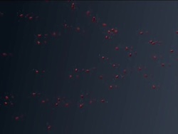 Forces in Fluids: Fluids and Pressure Instructional Video