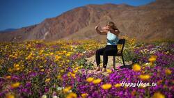 3 Minute Midday Energizing Stretch Instructional Video