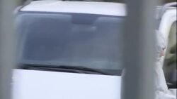 Thieves in Germany target priceless objects News Clip