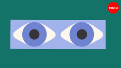 TED-Ed: What are those colors you see when you rub your eyes? | Paul CJ Taylor Instructional Video