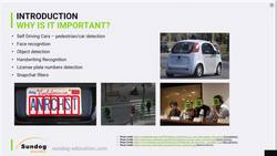 Create a computer vision system using decision tree algorithms to solve a real-world problem : What is computer vision and why is it important? Instructional Video