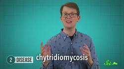 6 Ways Species Rely on Humans for Survival Instructional Video