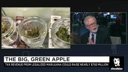 Don't Credit Cynthia Nixon for Cuomo's Pot Shift: N.Y. Assemblyman Gottfried News Clip