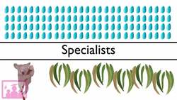 Generalists vs Specialists Instructional Video