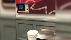 A peak into the Lionesses state of the art World Cup camp News Clip