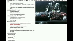 Anatomy | First, Second, and Third Degree Burns Instructional Video