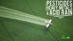 What's Killing the World's Amphibians Instructional Video