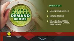 Japan’s Matcha output falls amid record heat News Clip