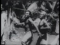 Allied Forces battle the Armies of Nippon in Papua New Guinea, 1942 Stock Footage